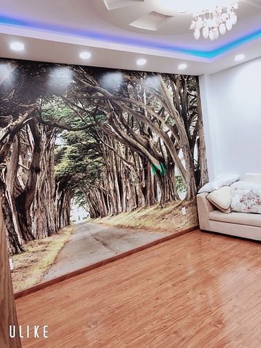 Hình ảnh Phòng trọ sạch sẻ đường Nguyễn Thái Bình - Tân Bình
