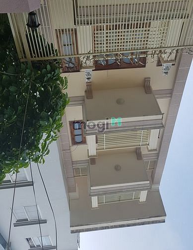 Hình ảnh cho thuê nhà đường Hoa Trà 4x16m