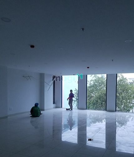 Hình ảnh cho thuê biệt thự đường D1 8x20m