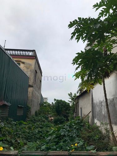 Hình ảnh Bán lô đất 75m2 vuông vắn Cự Khối, Long Biên