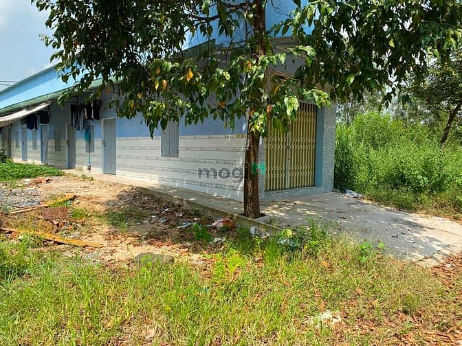 Hình ảnh (Cần Gấp) Kẹt Vốn Bán Gấp Đất Đ/D Kcn, Dân Đông, Mt Đường 16m, Shr, Ch