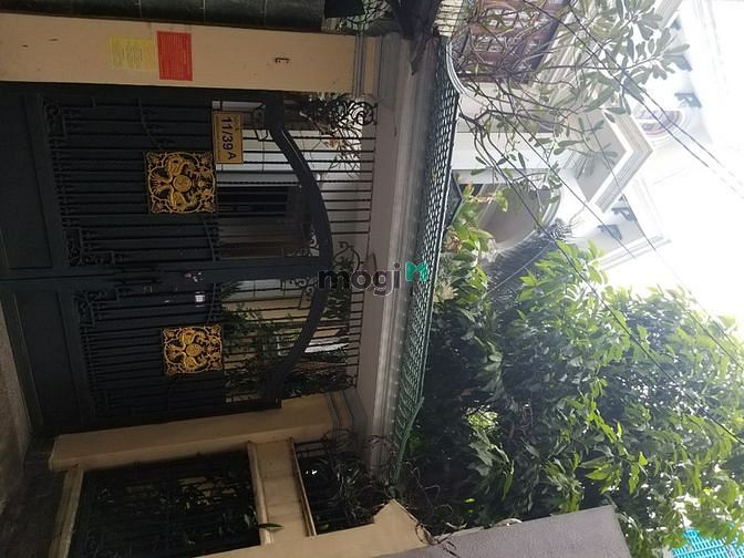 Hình ảnh cho thuê nhà đường D1 4,3x16m ( Bình Thạnh )