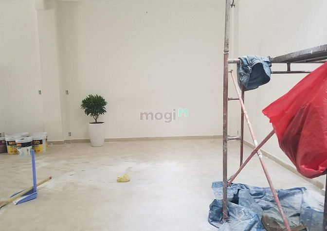 Hình ảnh cho thuê nhà đường D1 8x16m ( Bình Thạnh )