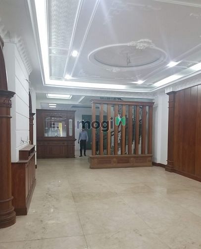 Hình ảnh cho thuê nhà đường D1 4,2x22m ( BÌnh Thạnh )