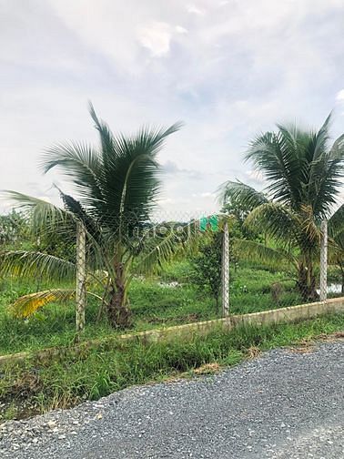 Hình ảnh Cần bán gấp đất 1/ đường 669 - xã Phước Thạnh - Củ Chi