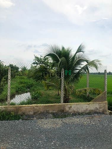 Hình ảnh Cần bán gấp đất 1/ đường 669 - xã Phước Thạnh - Củ Chi