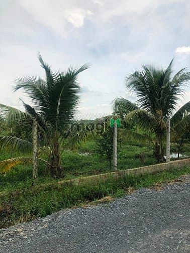 Hình ảnh Cần bán gấp đất 1/ đường 669 - xã Phước Thạnh - Củ Chi