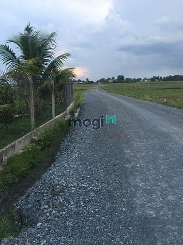 Hình ảnh Cần bán gấp đất 1/ đường 669 - xã Phước Thạnh - Củ Chi