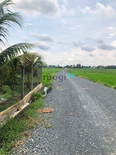 Hình ảnh Cần bán gấp đất 1/ đường 669 - xã Phước Thạnh - Củ Chi