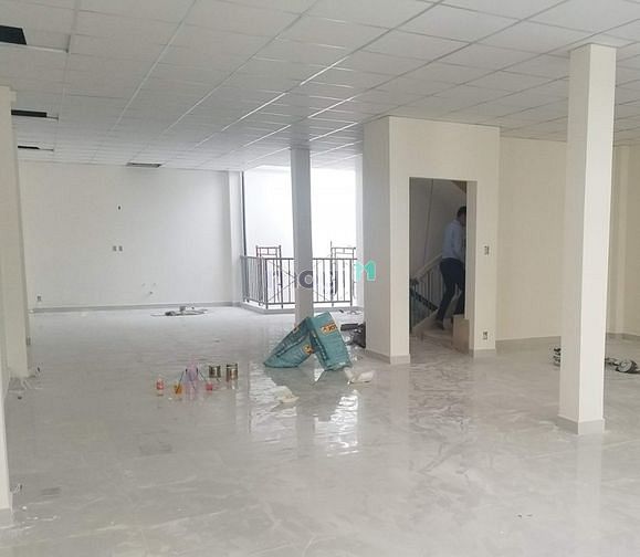 Hình ảnh cho thuê biệt thự đường D2 25x23m