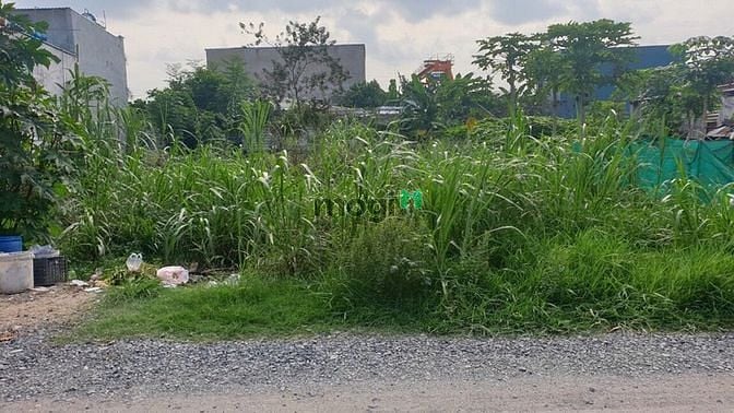 Hình ảnh Cần bán đất xã Tân Phú Trung - Củ Chi