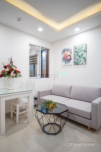Hình ảnh 🔥CHDV Binh Thạnh, Phú Nhuận, Quận 2, Quận 1🔥