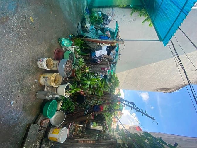 Hình ảnh Đất Phố Nguyễn Lam, Ngõ thông, sổ đẹp, 52m2x2,6tỷ quá đẹp