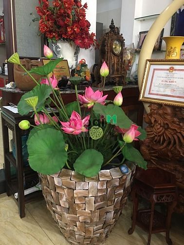 Hình ảnh Bán Nhà phố Mặt tiền Cửu Long Quận Tân Bình, 193.2 m2