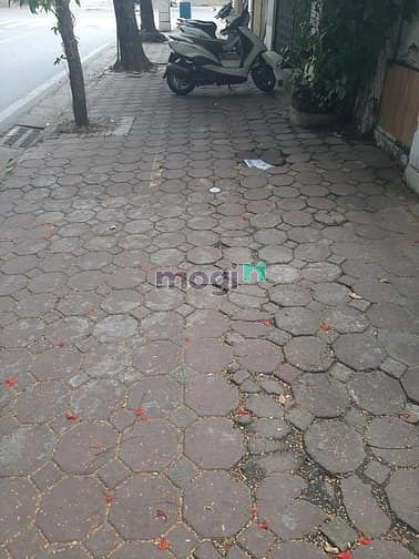 Hình ảnh Bán 46m đất,mt 6,2m mặt phố Trần Khánh Dư, Hà Nội, lô góc, giá 12,7tỷ