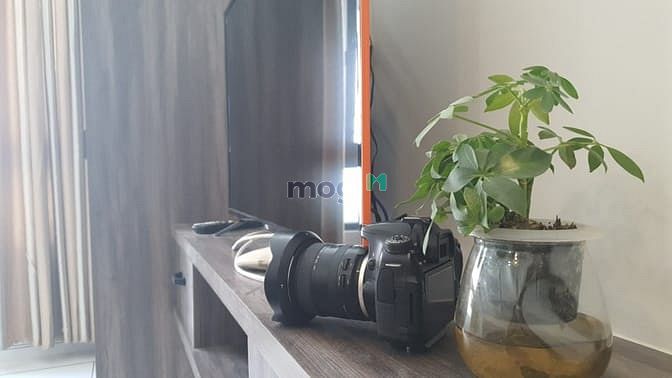 Hình ảnh Studio Nguyễn Văn Đậu, Full nội thất, Có phòng gym