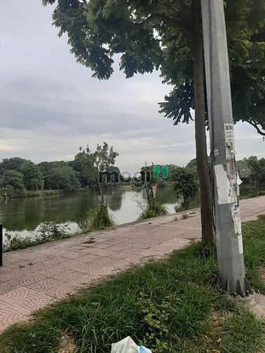 Hình ảnh Bán123m đất x mt 5m, Phố Lâm Hạ,Long Biên, giá 12.7 tỷ