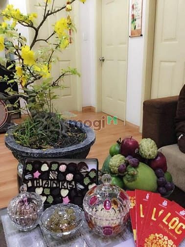 Hình ảnh Cho Thuê Trang Chủ MB66.COM Chính Thức Ruby Land Quận Tân Phú 80m2 2PN
