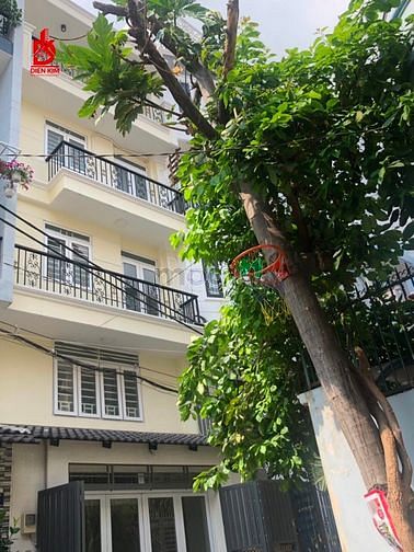 Hình ảnh Cho thuê nhà đường Hoàng Hoa Thám Quận Tân Bình 7x17m
