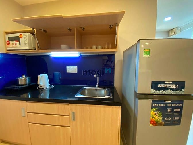 Hình ảnh New fully furnished apartment for rent in D1, D4, D8
