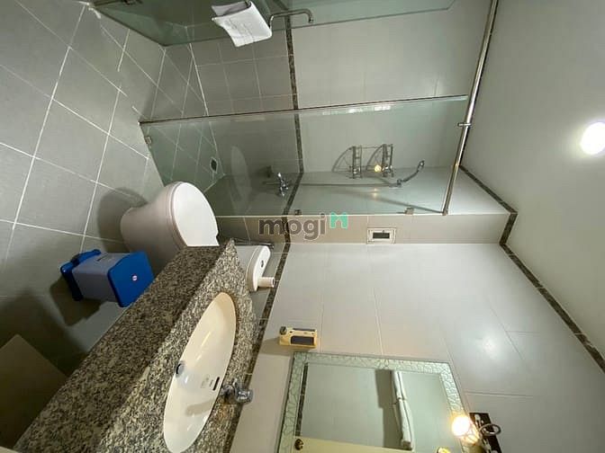 Hình ảnh New fully furnished apartment for rent in D1, D4, D8