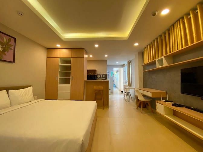 Hình ảnh New fully furnished apartment for rent in D1, D4, D8