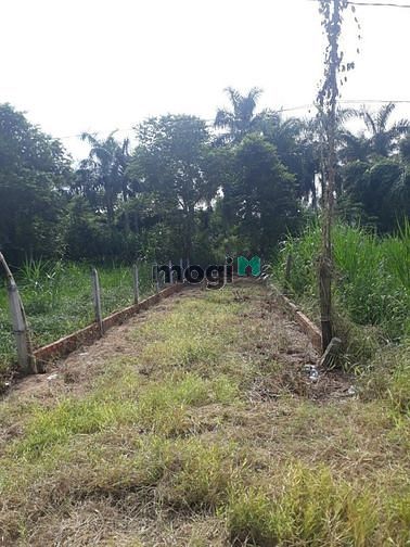 Hình ảnh Cần bán đất xã Tân Thạnh Đông - Củ Chi