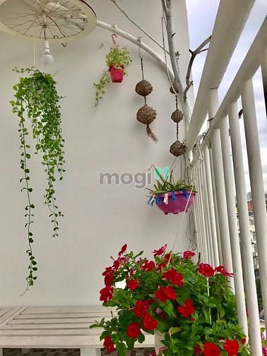 Hình ảnh Chung cư 8X ĐẦM SEN Cho thuê Full Nội Thất Đẹp Như Hình