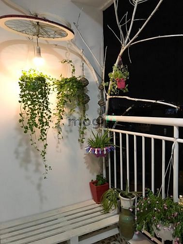 Hình ảnh Chung cư 8X ĐẦM SEN Cho thuê Full Nội Thất Đẹp Như Hình