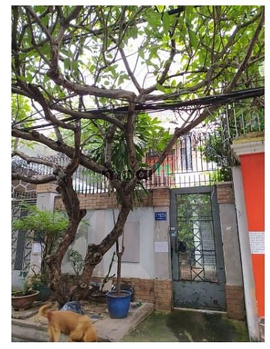 Hình ảnh Cho thuê nhà đường Trương Công Định quận Tân Bình 8x20m