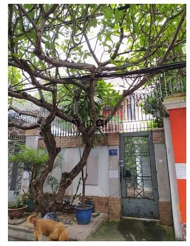 Hình ảnh Cho thuê nhà đường Trương Công Định quận Tân Bình 8x20m