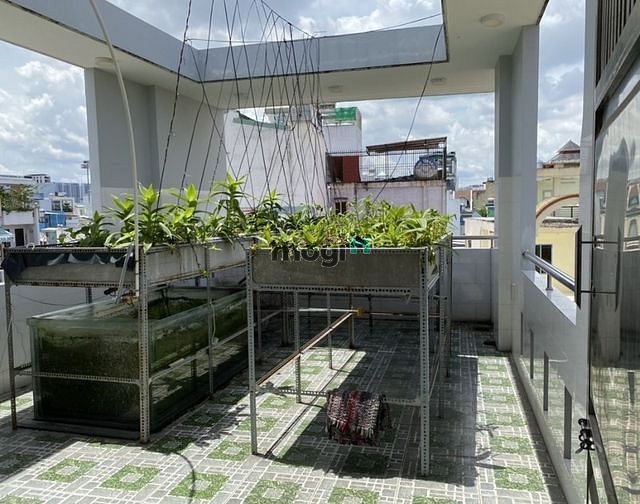 Hình ảnh Cho thuê nhà 30 Đường Tự Lập , Phường 4 , Quận Tân Bình