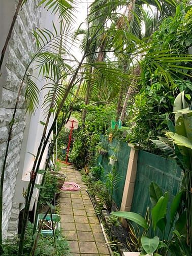 Hình ảnh Cho thuê biệt thự Mỹ Kim, Quận 7 nhà đẹp