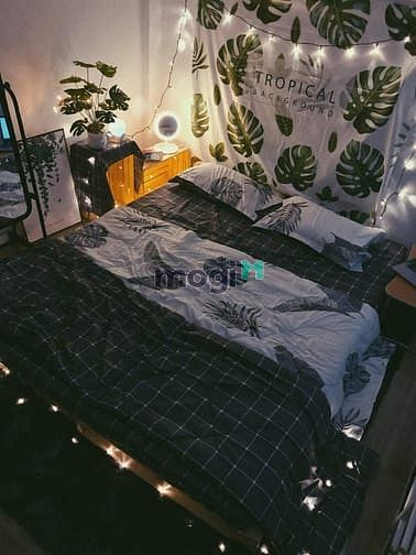 Hình ảnh cho thuê Trang Chủ MB66.COM / Đăng Ký Tặng 66K mini or dịch vụ quận phú nhuận