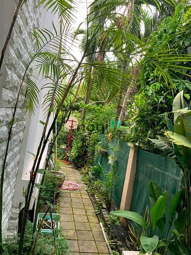 Hình ảnh Biệt thự Mỹ Thái, Phú Mỹ Hưng, giá 19.5 tỷ