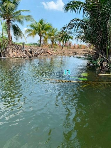 Hình ảnh Cần bán gấp đất Nhơn Trạch,quy hoạch thổ cư,giá rẻ 800tr/1000m,sổ riên
