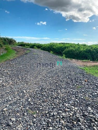 Hình ảnh Cần bán gấp đất Nhơn Trạch,quy hoạch thổ cư,giá rẻ 800tr/1000m,sổ riên