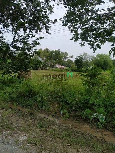 Hình ảnh Cần bán gấp đất Nhơn Trạch,quy hoạch thổ cư,giá rẻ 800tr/1000m,sổ riên