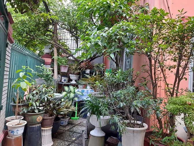Hình ảnh BIỆT THỰ XƯA 5 tầng 139m2 CHỈ 10 tỷ, TÂN PHÚ.