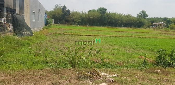Hình ảnh Cần bán đất xã Phước Hiệp - Củ Chi