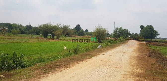 Hình ảnh Cần bán đất xã Phước Hiệp - Củ Chi