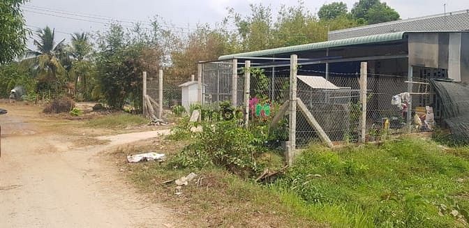 Hình ảnh Cần bán đất xã Phước Hiệp - Củ Chi