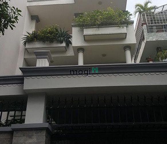 Hình ảnh Cho thuê nhà đường Hoàng Kế Viêm quận Tân Bình 14x20m