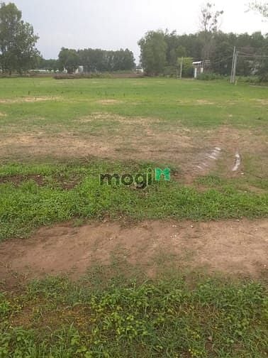 Hình ảnh Đất thổ cư MT vành đai 3 Nhơn Trạch KD tốt,hạ giá bán rẻ 4ty/1350m, SR