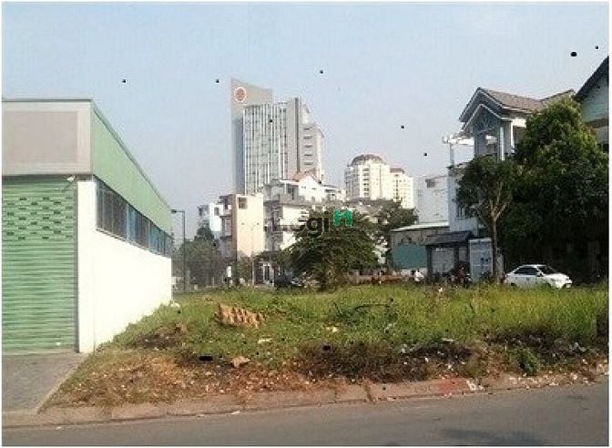 Hình ảnh Cho thuê đất trống đường Nguyễn Thanh Sơn - Diện tích 15x20m
