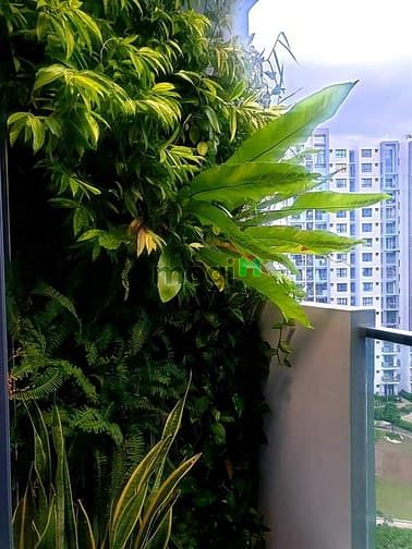 Hình ảnh Chung cư CELADON CITY Q. Tân Phú 71m² 2PN 2WC
