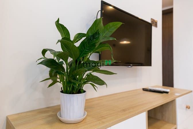Hình ảnh Đang cần cho thuê 1 chung cư, tại dự án HÀ ĐÔ CENTROSA