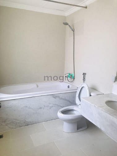 Hình ảnh Cho thuê biệt thự sân vườn Thảo Điền - Khuôn viên 800m2
