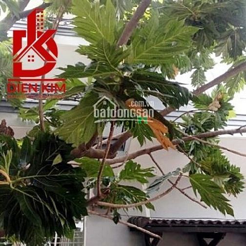 Hình ảnh Cho thuê nhà đường Bàu Cát 5 quận Tân Bình 6,8x19m