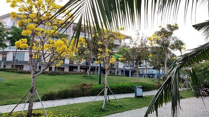 Hình ảnh Sarina cần cho thuê căn 2PN giá tốt trên thị trường